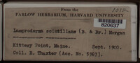 Image Associated With the Occurence